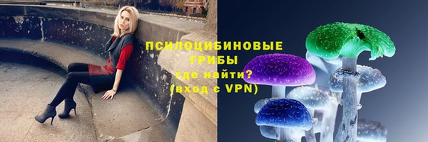прущие крисы Медвежьегорск
