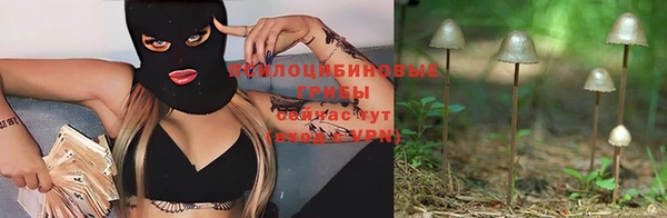 ешки Мегион