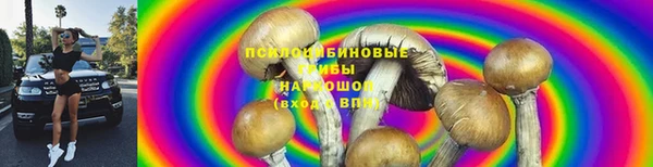 ешки Мегион