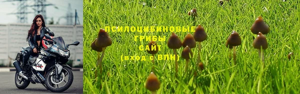 мдма Медногорск