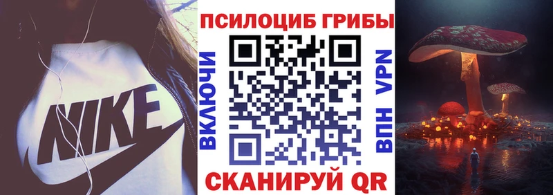 Купить где  Ардатов  Псилоцибиновые грибы мицелий 